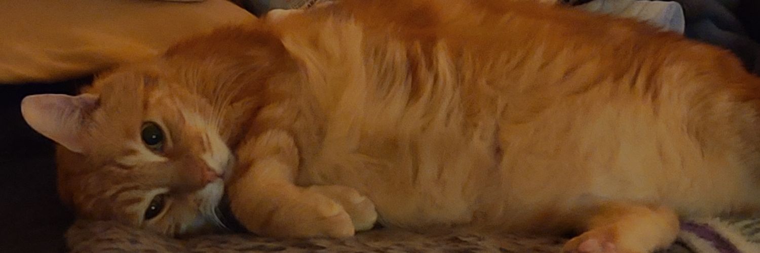 DGGator's profile banner image