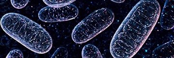 QKarwi Profile Banner