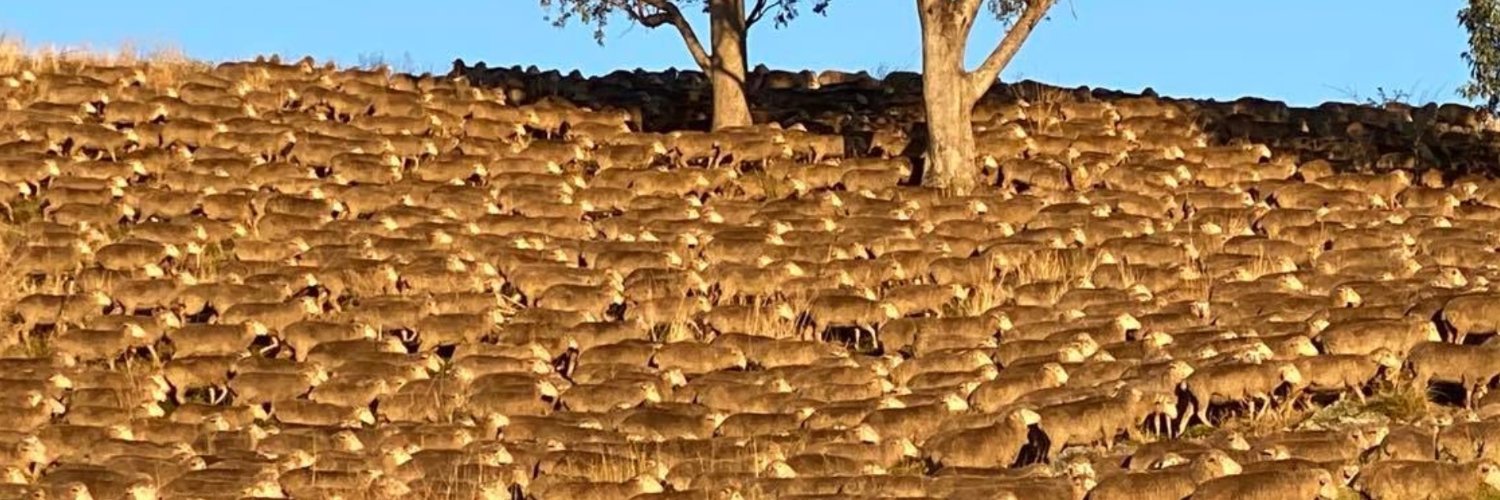 Dwain Duxson - An Ag Enthusiast banner