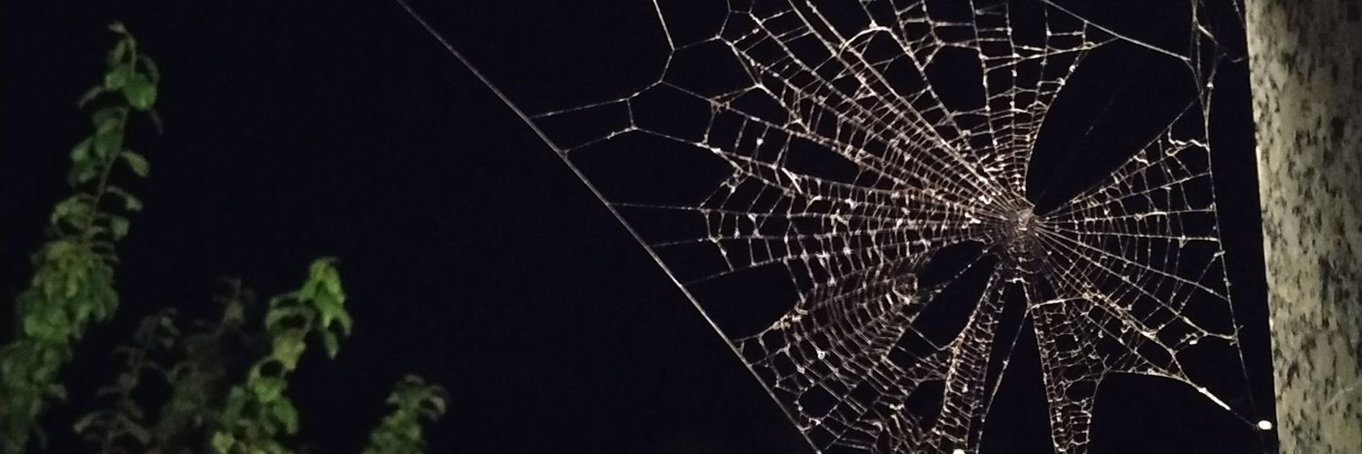 putoscarballos's profile banner image