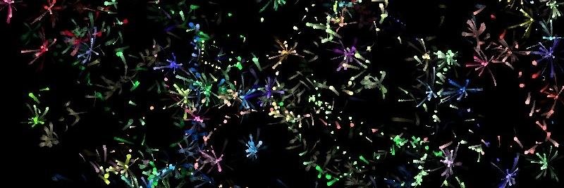queen_bubbie's profile banner image