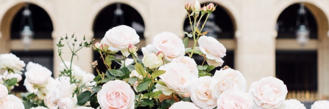 Alissa Michel banner