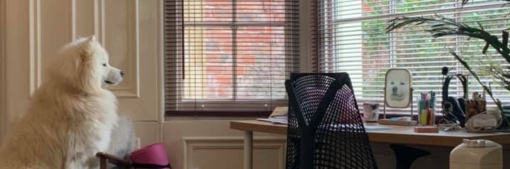 Kayla Soren banner