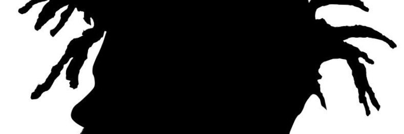 Lightblazboi's profile banner image