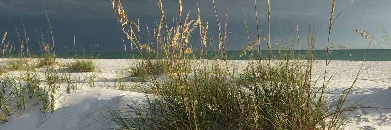 mslisabeebe's profile banner image