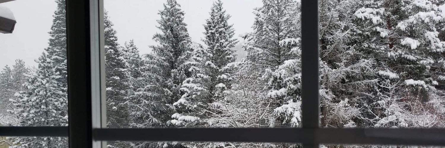ArinLee74's profile banner image