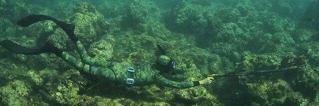 Moncornadiver's profile banner image