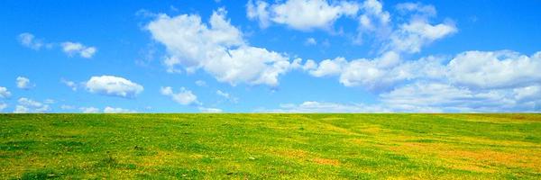 freerangersa Profile Banner