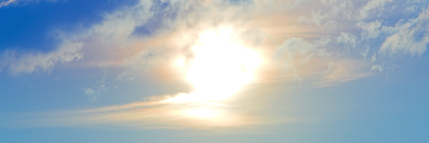 Ольга Дмитриева banner