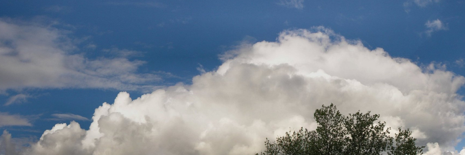 Юлия Куликова banner