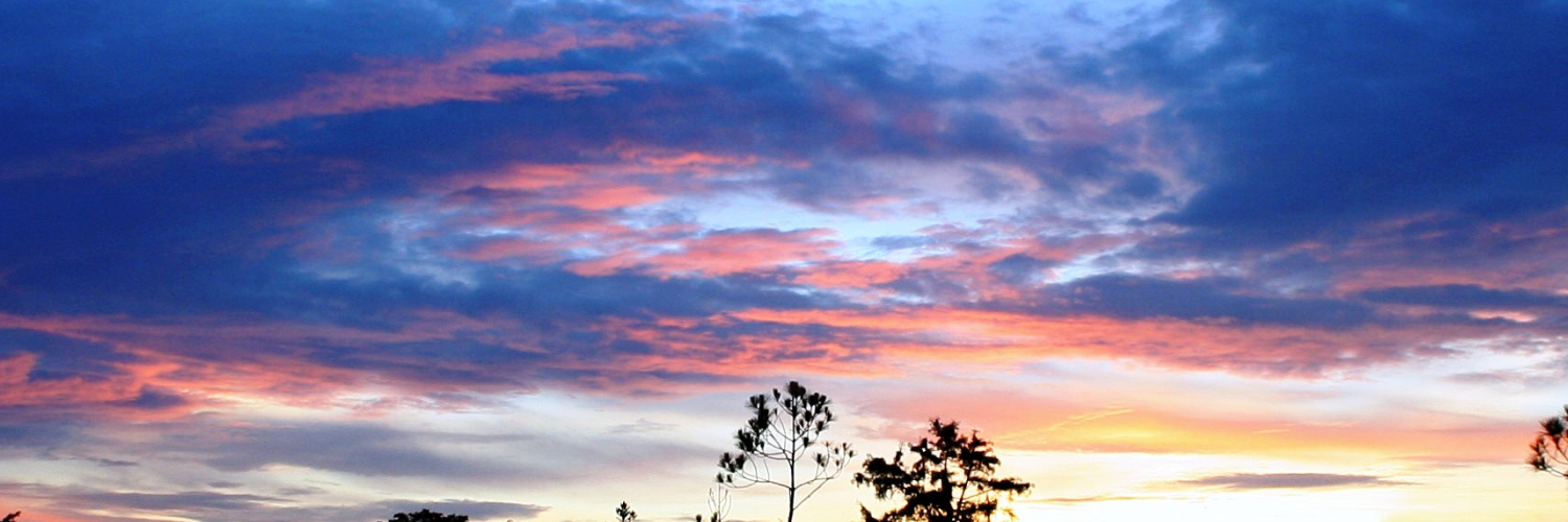 jamesojesarox's profile banner image