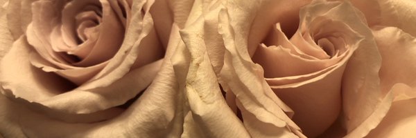 lauriefew Profile Banner