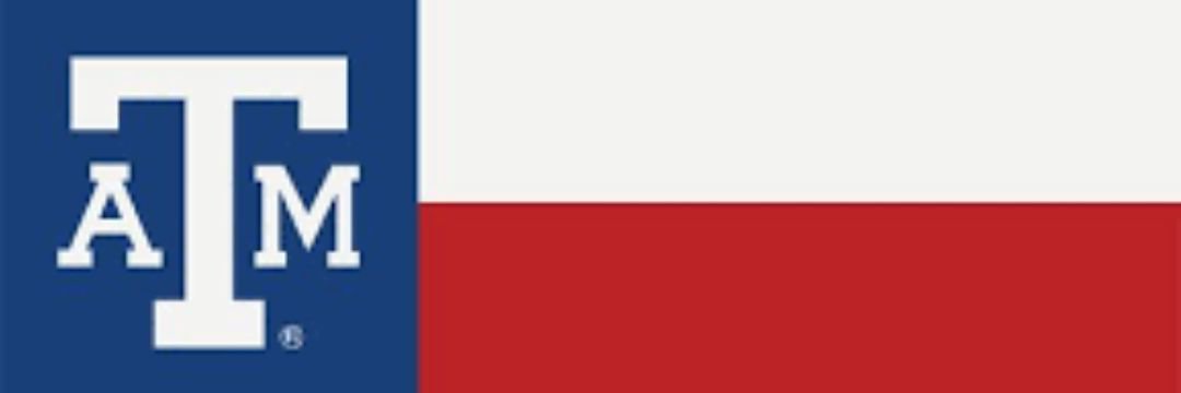 avery_arndt's profile banner image