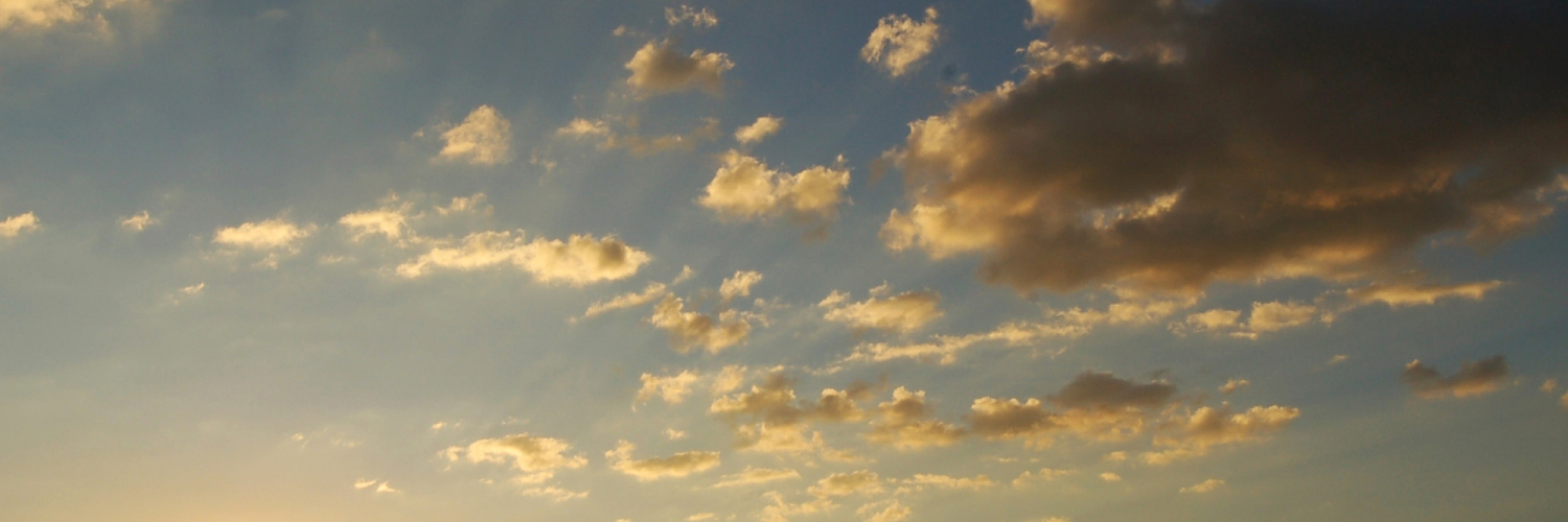 markepavurev's profile banner image