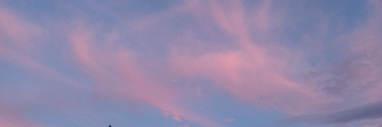 liveitmicheala's profile banner image