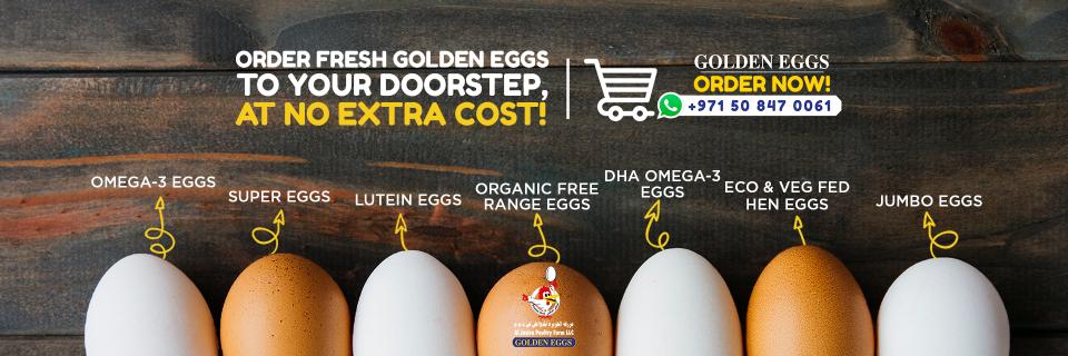 AlJaziraPoultry's profile banner image