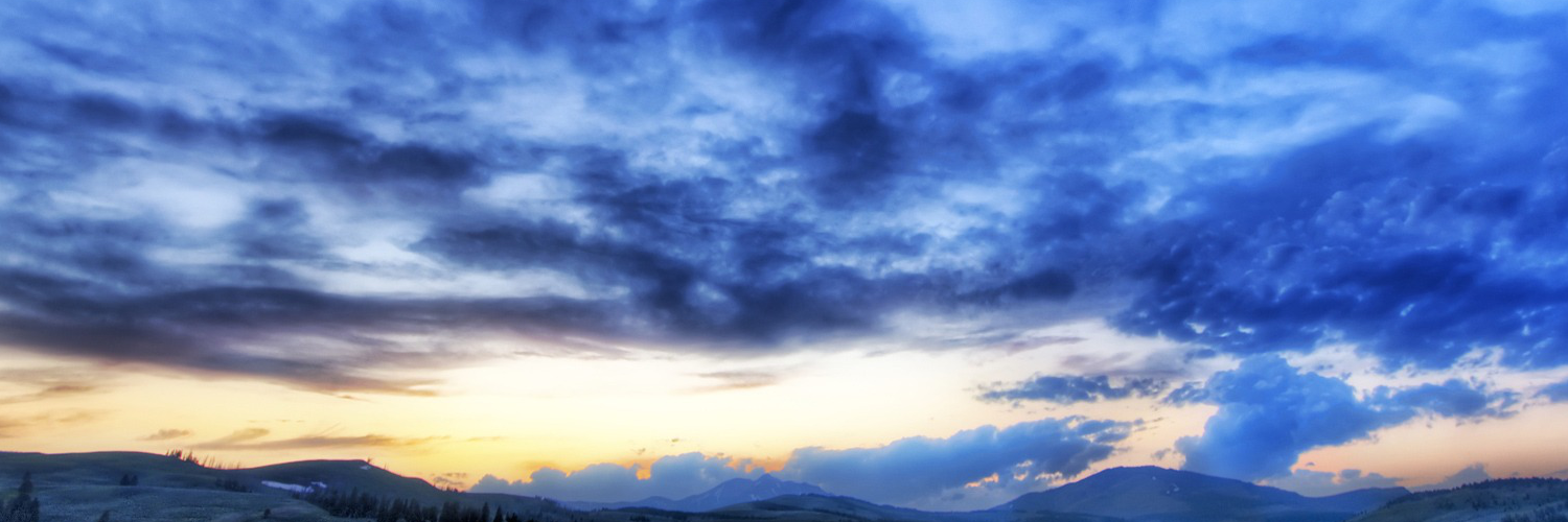 Света Алексеева banner