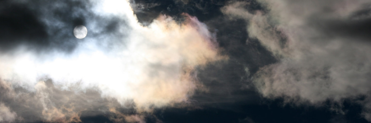 Вера Виноградова banner