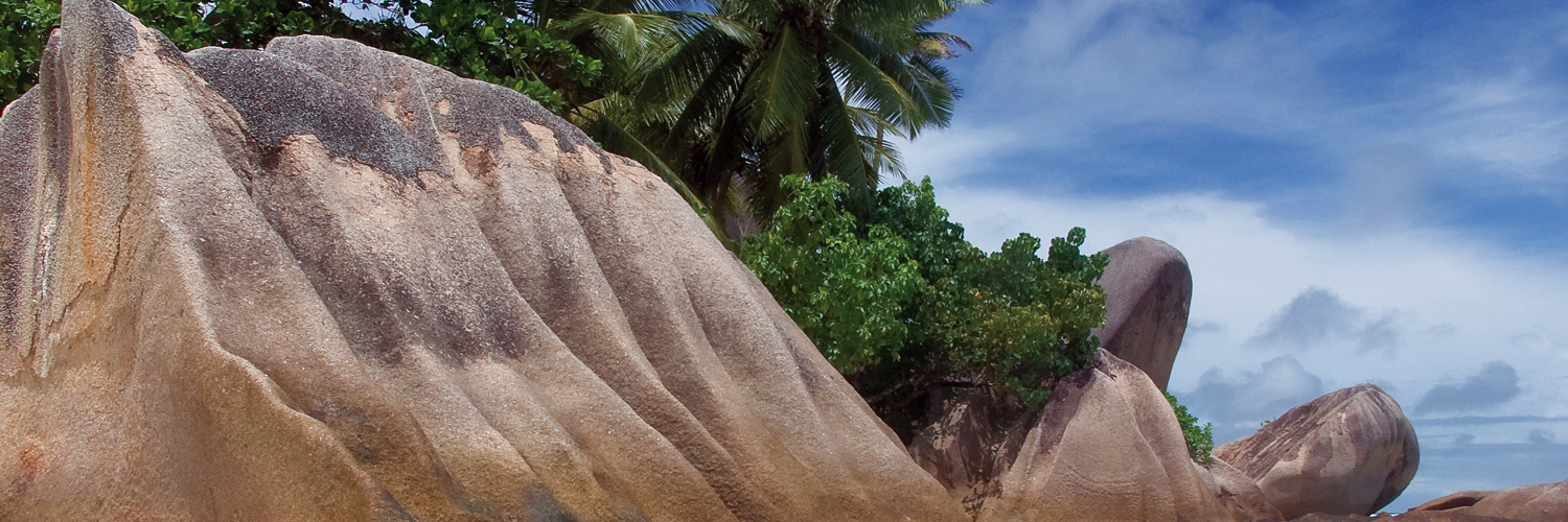 johnubisadib's profile banner image