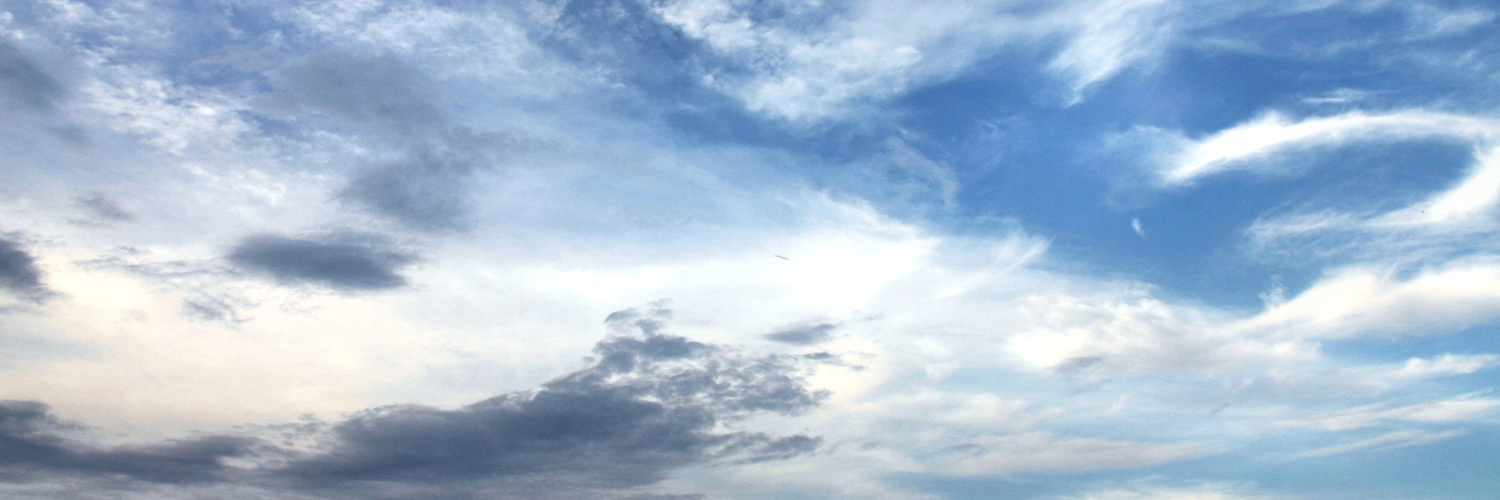 Лера Смирнова banner