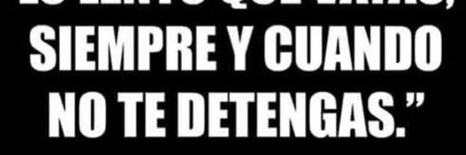 andresf_salgado's profile banner image