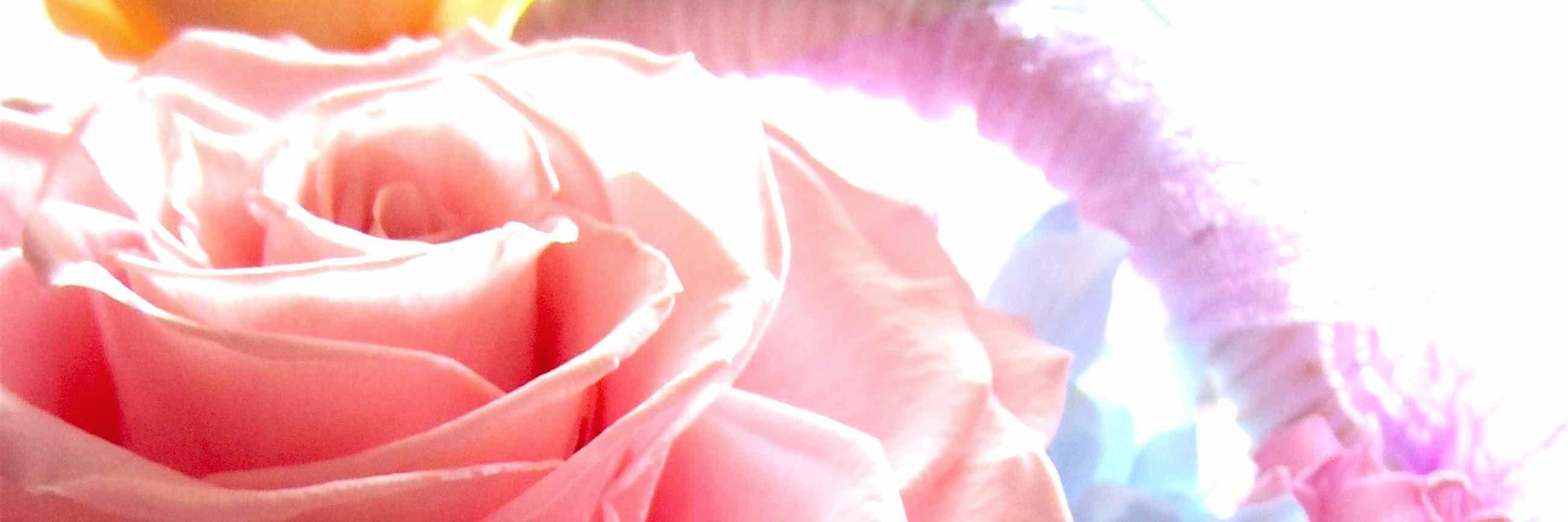 urasoefrances's profile banner image