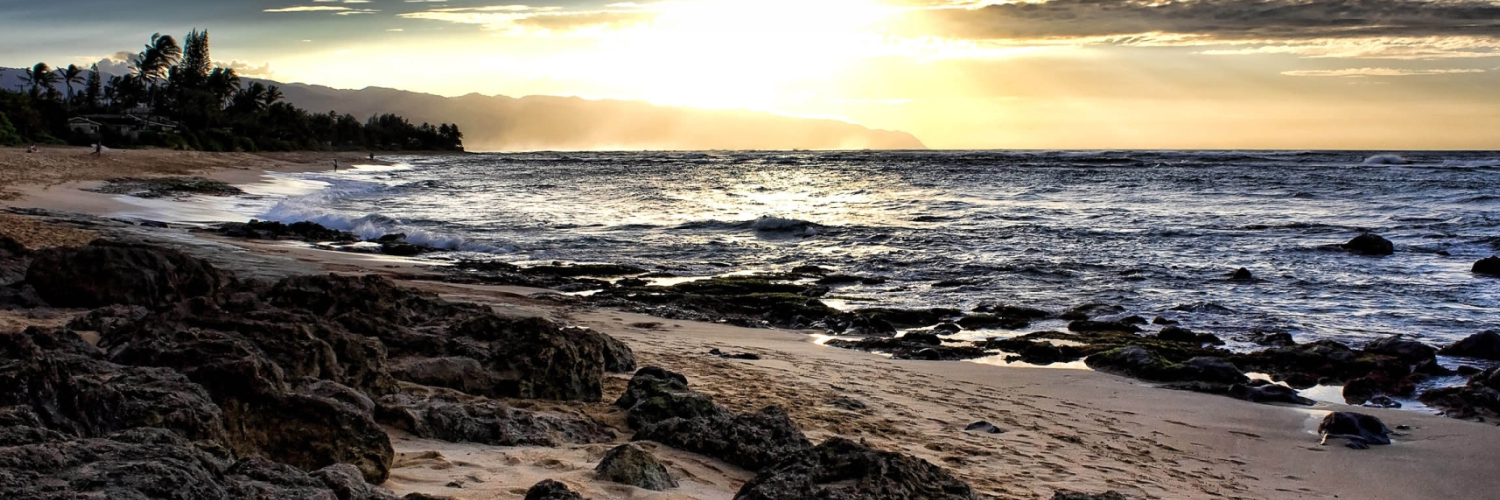 michaeligocahiw's profile banner image
