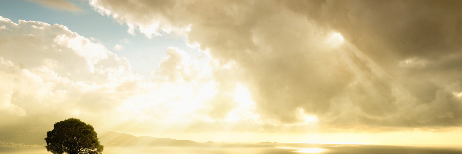 Вика Алексеева banner