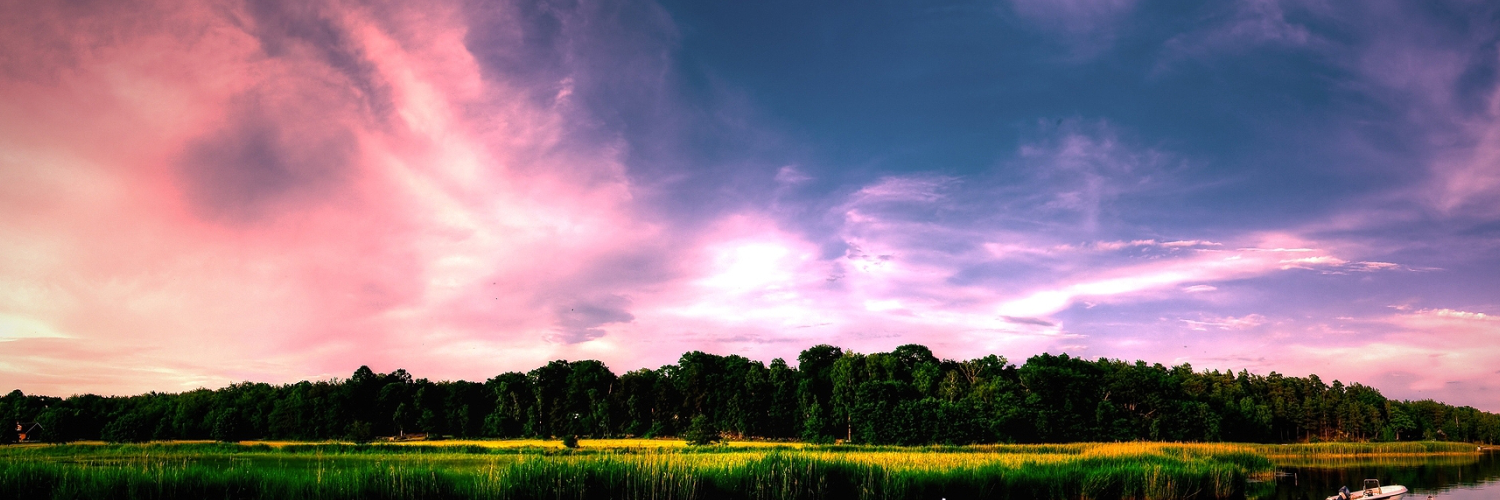 Екатерина Дмитриева banner