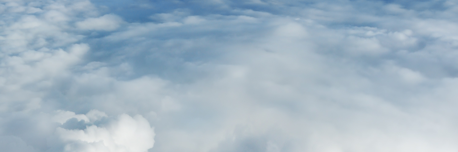 Вика Фролова banner