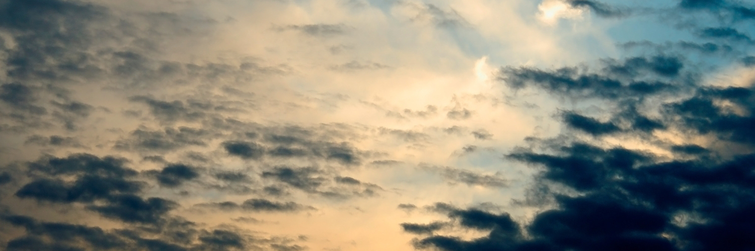 Яна Осипова banner