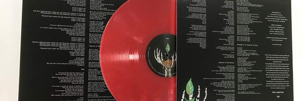 pitymybrain Profile Banner