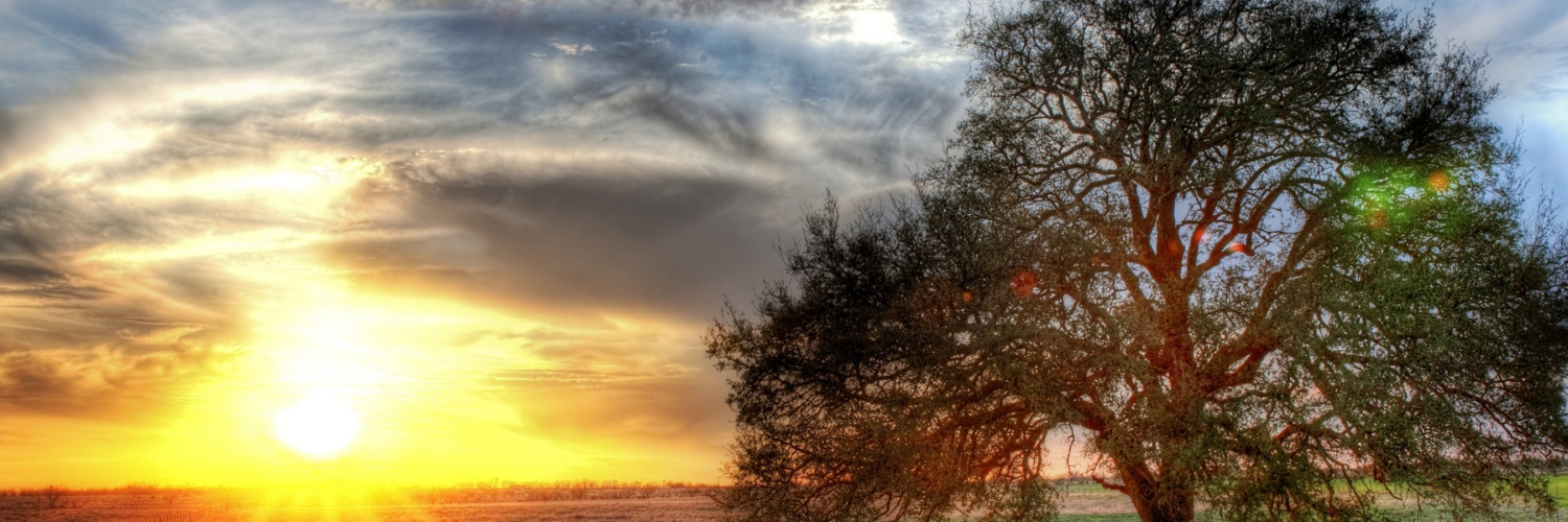 brianulucosid's profile banner image