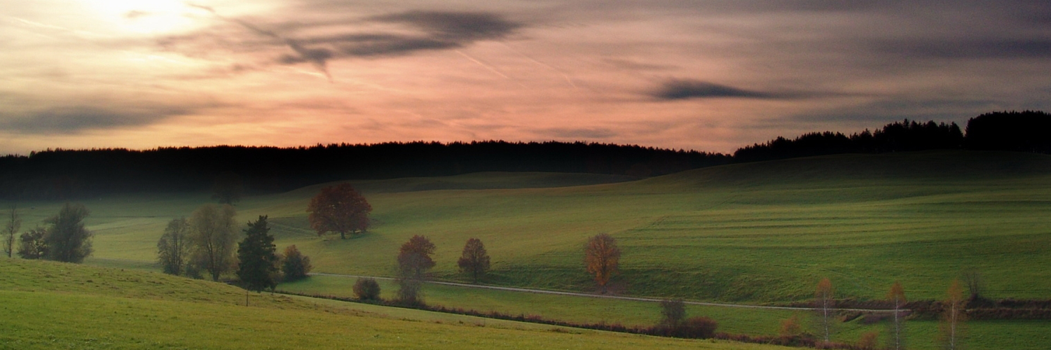 Наталья Егорова banner