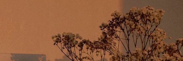 TRINSASA_'s profile banner image
