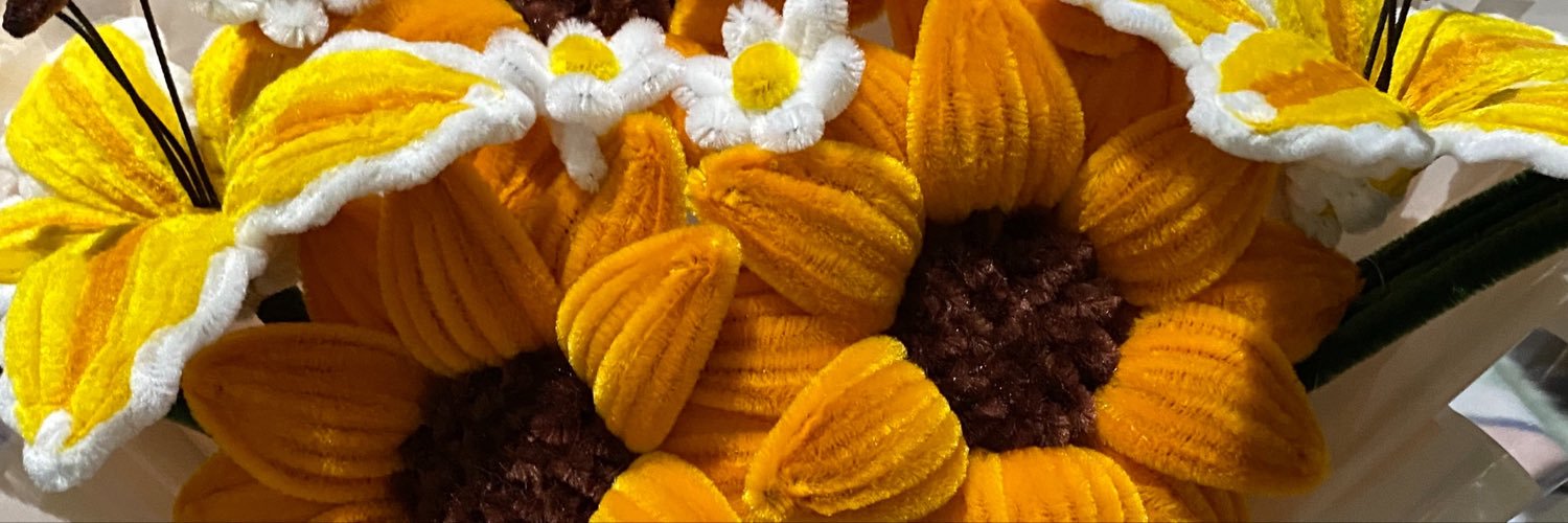 ZoeMaylen's profile banner image