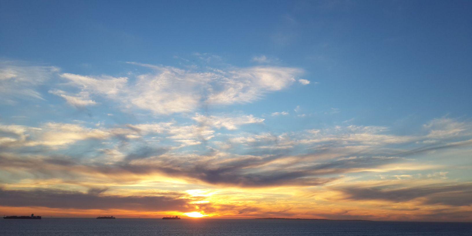 Bianca Brower banner