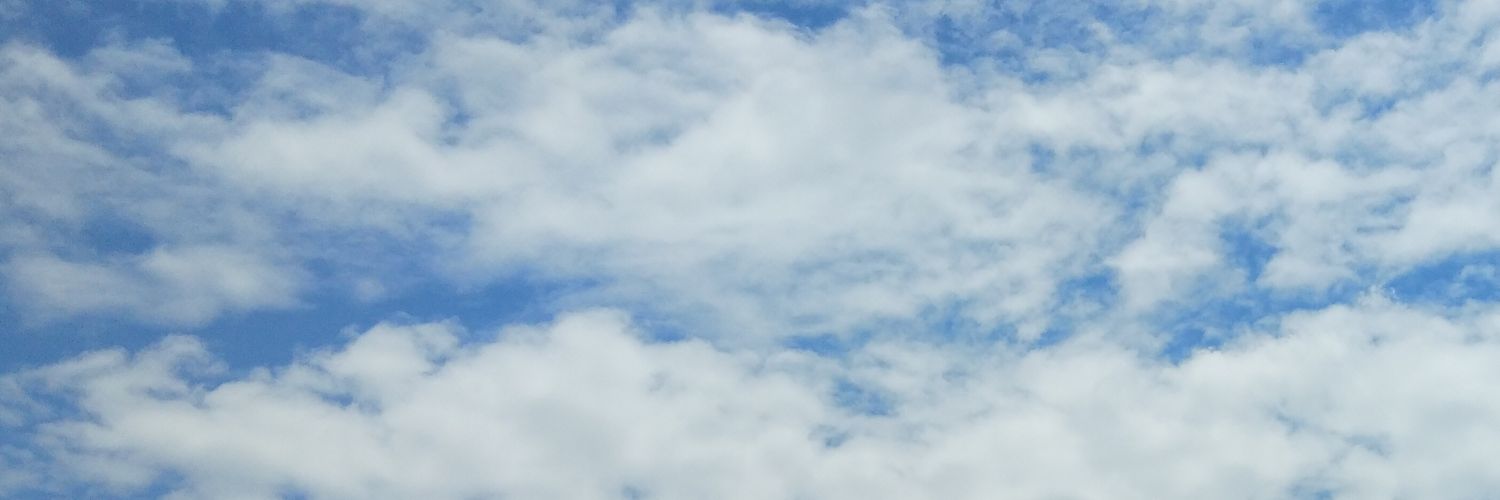 MJ. banner
