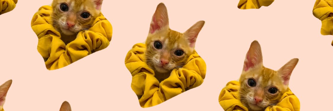AciMocca's profile banner image