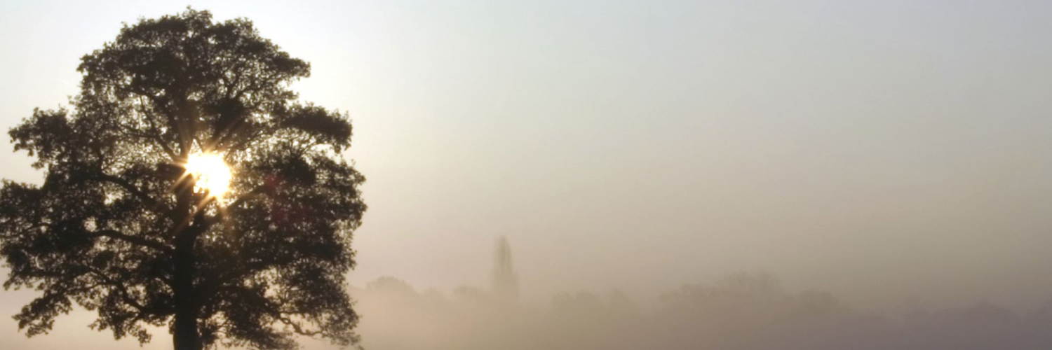 brianewobefak's profile banner image