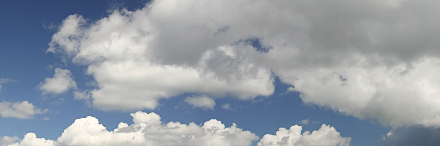 Лера Тимофеева banner