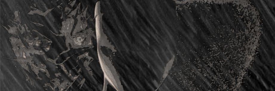 withVII's profile banner image