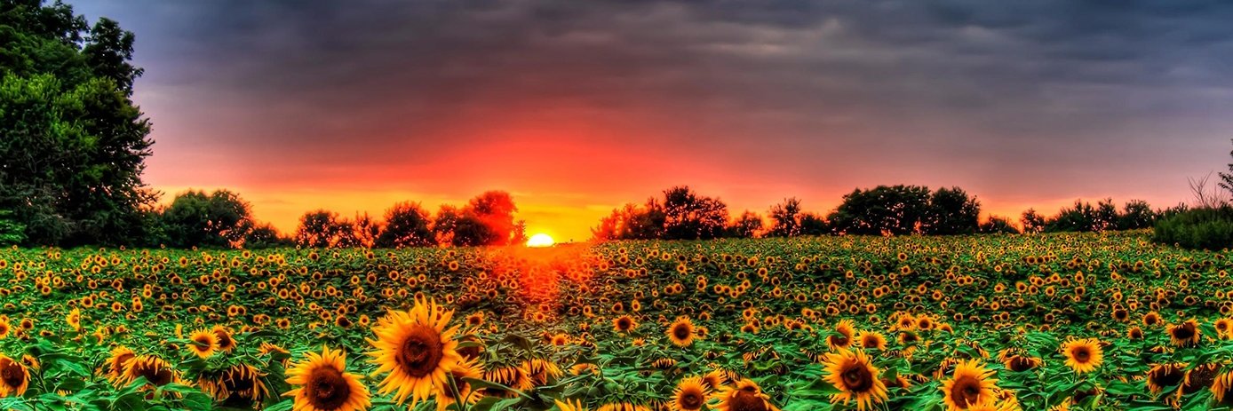 YourSunshineIAm's profile banner image