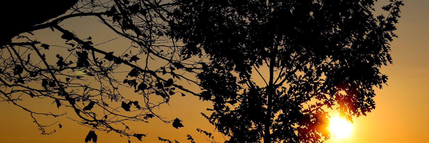 Валерия Дмитриева banner