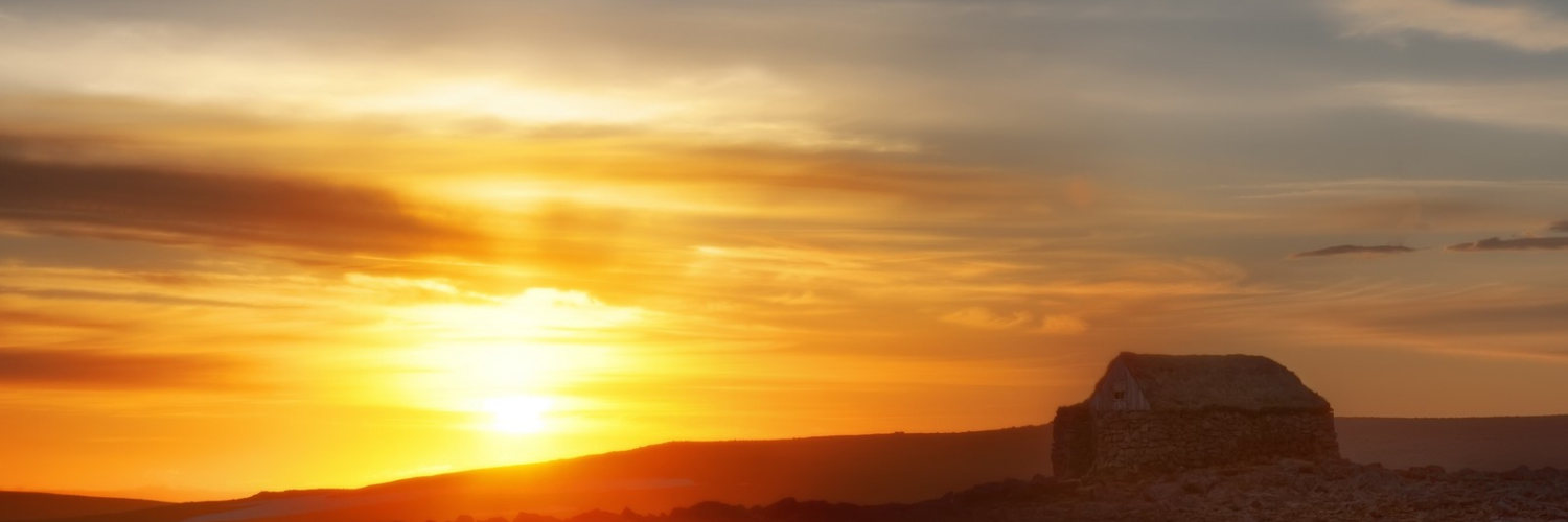 Галина Николаева banner