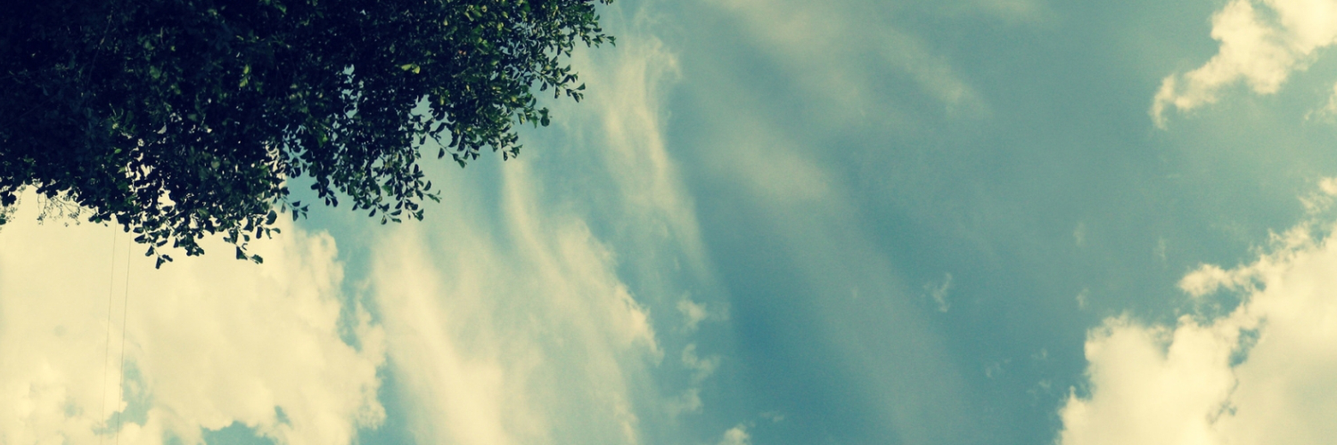 Лена Никитина banner