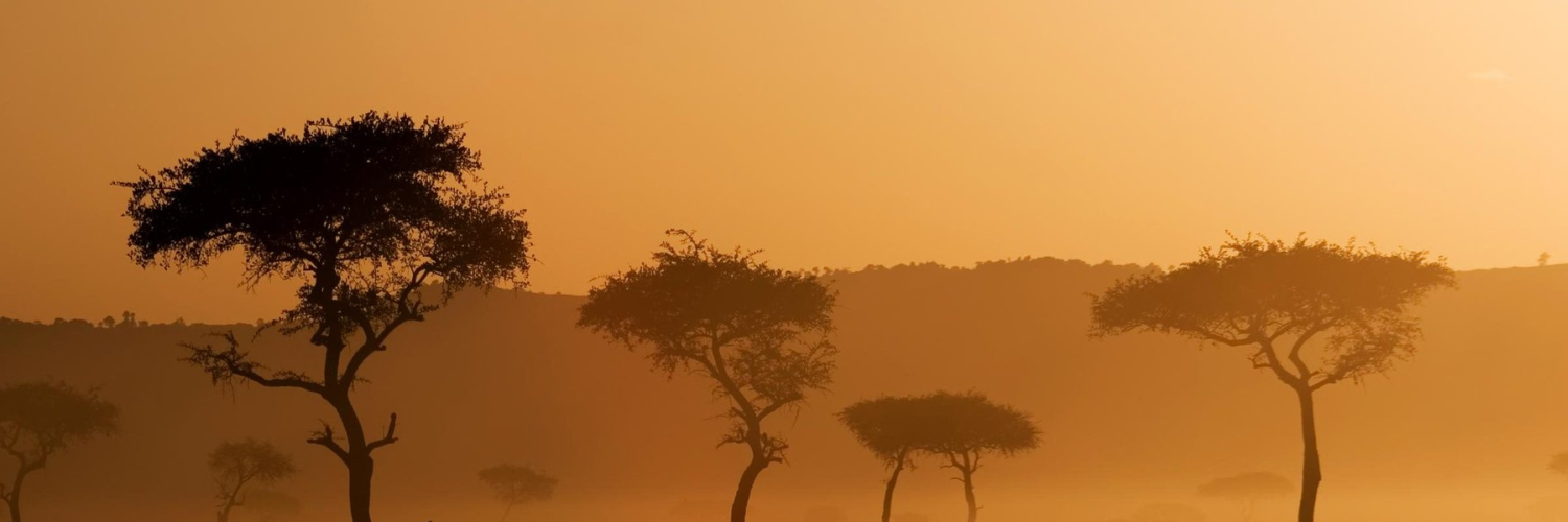 thomasajofeval's profile banner image