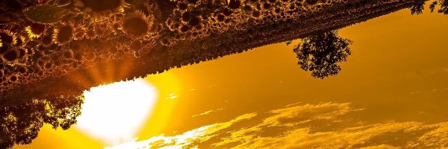 Brice_Vnt's profile banner image