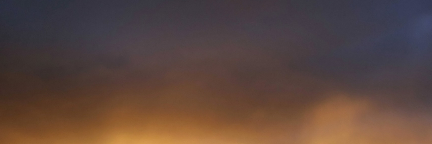Света Яковлева banner