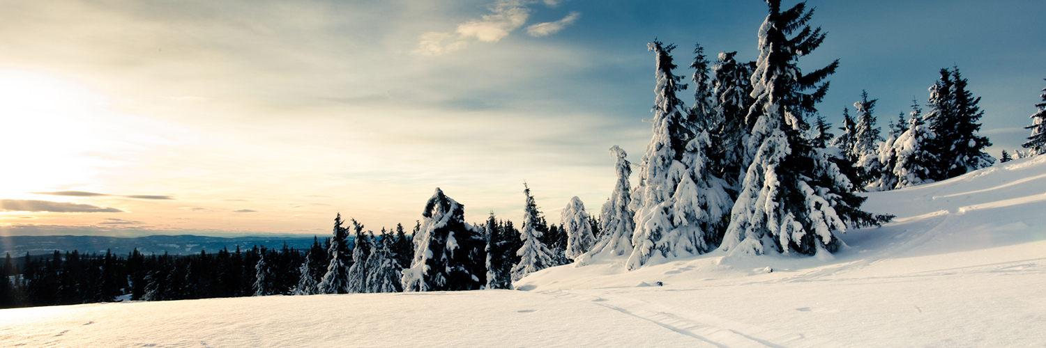 Женя Андреева banner